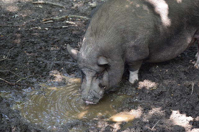 这位年轻中 这位年轻中