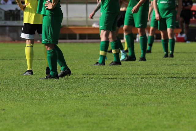 库明加和克 库明加和克