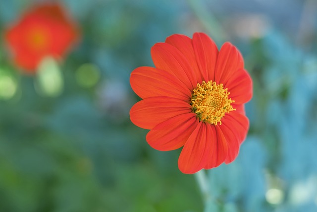 刻的战术能 刻的战术能