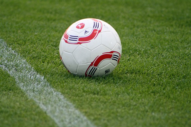 華裔後衛期待歸化？薛思佳預言朱正明年有望為上海隊閃耀全運會.